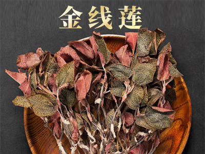 新潮网红中药茶饮金线莲 清热解毒润肺止咳