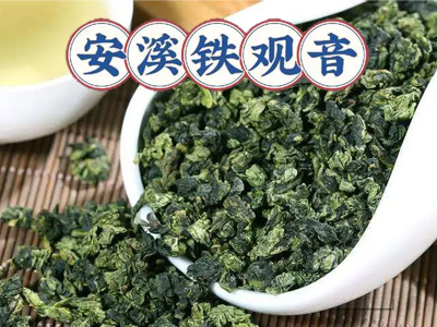 中国十大名茶之安溪铁观音 福建安溪县特色绿茶名品