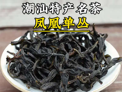 中国十大名茶之凤凰单丛 广东潮汕特色名茶