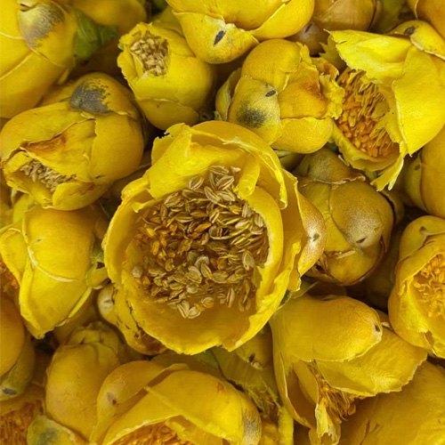 精选国宝金花茶 特色花茶朵朵金黄诱人药用级养生茶